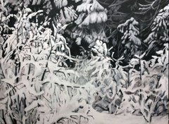 dougla orr-fineart-Washington Winter